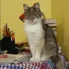 Отзыв от Инна Новикова
